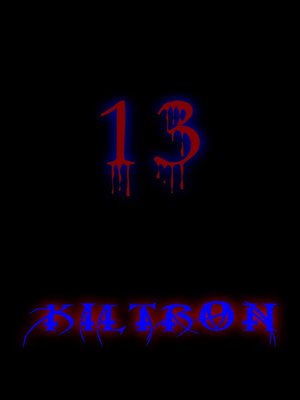 cover image of 13